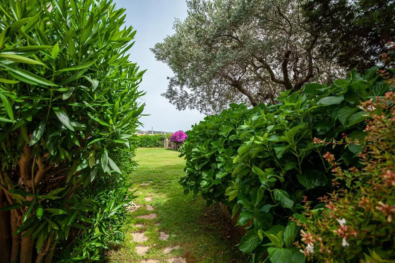 Porto Cervo Marina Incantevole Appartamento Vista Yacht 0*, 切尔沃港